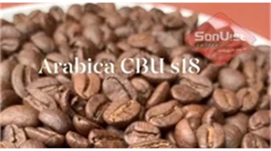 CÀ PHÊ ARABICA CẦU ĐẤT – DÒNG NGUYÊN LIỆU ARABICA TUYỆT VỜI CỦA VIỆT NAM